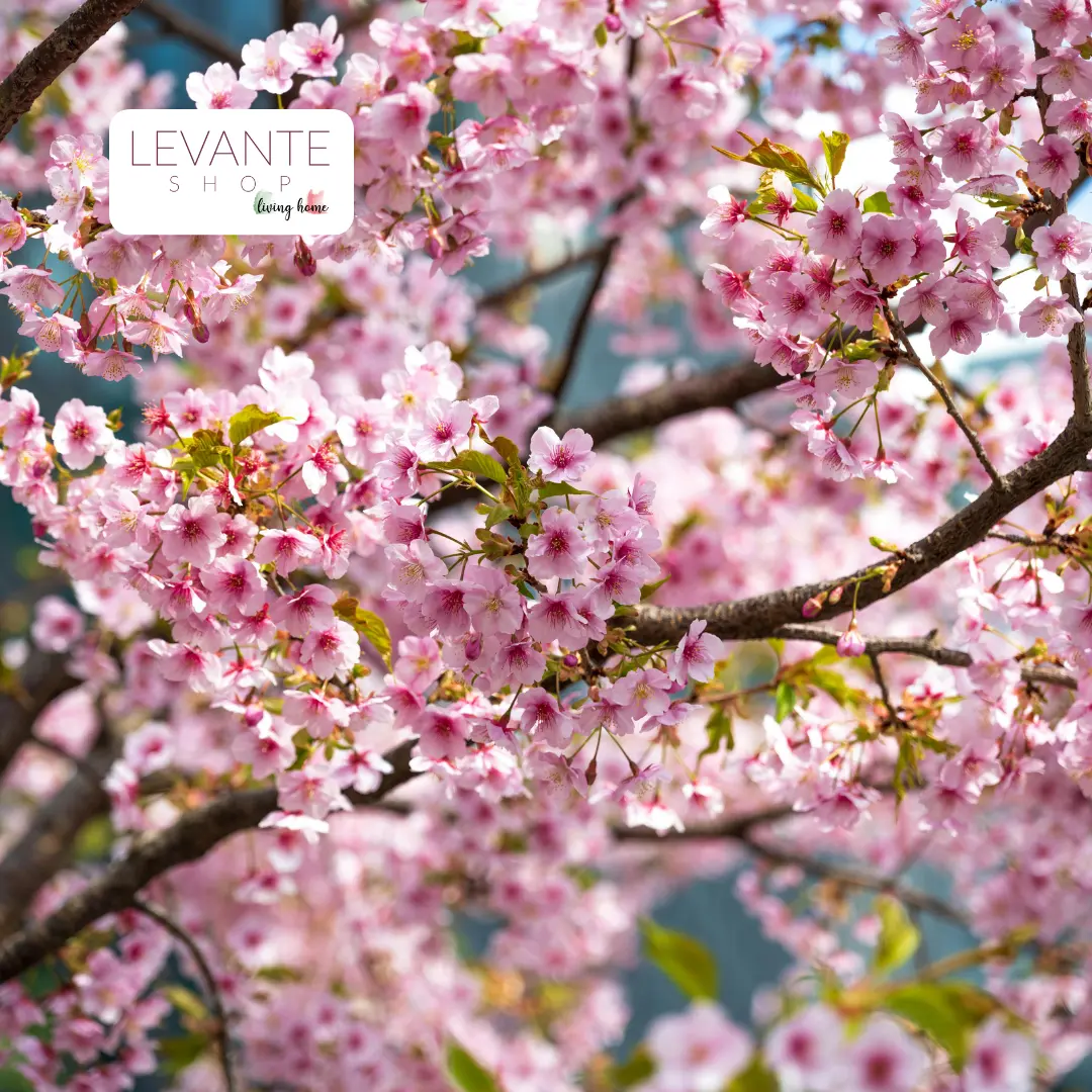 Tendenze colori primavera estate 2026 per la casa, palette moderne e abbinamenti di design